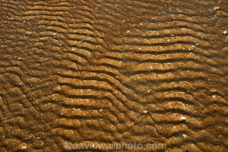 Abel-Tasman;Abel-Tasman-N.P.;Abel-Tasman-National-Park;Abel-Tasman-NP;beach;beaches;coast;coastal;coasts;golden-sand;hot;Mosquito-Bay;N.Z.;national-park;national-parks;Nelson-Region;New-Zealand;NZ;ripple;rippled;ripples;S.I.;South-Is;South-Island;Sth-Is;summer;Tasman-Bay;Tasman-District;water-ripples