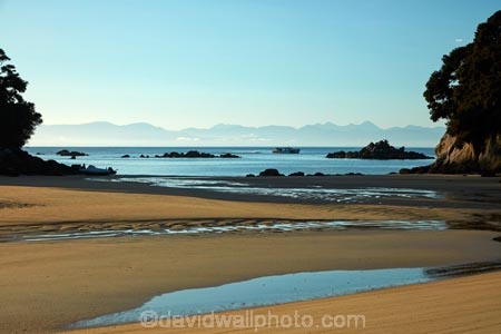Abel-Tasman;Abel-Tasman-N.P.;Abel-Tasman-National-Park;Abel-Tasman-NP;beach;beaches;coast;coastal;coastline;coastlines;coasts;estuaries;estuary;hot;inlet;inlets;lagoon;lagoons;Mosquito-Bay;N.Z.;national-park;national-parks;Nelson-Region;New-Zealand;NZ;ocean;oceans;S.I.;sea;seas;shore;shoreline;shorelines;shores;South-Is;South-Island;Sth-Is;summer;Tasman-Bay;Tasman-District;tidal;tide;water;water-taxi;water-taxis