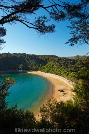 Abel-Tasman;Abel-Tasman-N.P.;Abel-Tasman-National-Park;Abel-Tasman-NP;beach;beaches;camp-ground;camp-grounds;camp-site;camp-sites;campground;campgrounds;camping-ground;camping-grounds;camping-site;camping-sites;campsite;campsites;coast;coastal;coastline;coastlines;coasts;hot;N.Z.;national-park;national-parks;Nelson-Region;New-Zealand;NZ;ocean;oceans;S.I.;sea;seas;shore;shoreline;shorelines;shores;South-Is;South-Island;Sth-Is;summer;Tasman-Bay;Tasman-District;Te-Pukatea;Te-Pukatea-Bay;Te-Pukatea-Bay-campground;Te-Pukatea-Bay-campsite;water