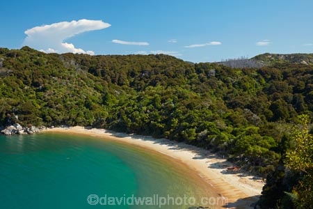 Abel-Tasman;Abel-Tasman-N.P.;Abel-Tasman-National-Park;Abel-Tasman-NP;beach;beaches;camp-ground;camp-grounds;camp-site;camp-sites;campground;campgrounds;camping-ground;camping-grounds;camping-site;camping-sites;campsite;campsites;coast;coastal;coastline;coastlines;coasts;hot;N.Z.;national-park;national-parks;Nelson-Region;New-Zealand;NZ;ocean;oceans;S.I.;sea;seas;shore;shoreline;shorelines;shores;South-Is;South-Island;Sth-Is;summer;Tasman-Bay;Tasman-District;Te-Pukatea;Te-Pukatea-Bay;Te-Pukatea-Bay-campground;Te-Pukatea-Bay-campsite;water