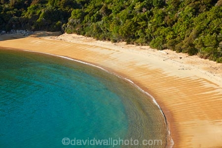 Abel-Tasman;Abel-Tasman-N.P.;Abel-Tasman-National-Park;Abel-Tasman-NP;beach;beaches;camp-ground;camp-grounds;camp-site;camp-sites;campground;campgrounds;camping-ground;camping-grounds;camping-site;camping-sites;campsite;campsites;coast;coastal;coastline;coastlines;coasts;hot;N.Z.;national-park;national-parks;Nelson-Region;New-Zealand;NZ;ocean;oceans;polarised;polarized;S.I.;sea;seas;shore;shoreline;shorelines;shores;South-Is;South-Island;Sth-Is;summer;Tasman-Bay;Tasman-District;Te-Pukatea;Te-Pukatea-Bay;Te-Pukatea-Bay-campground;Te-Pukatea-Bay-campsite;water