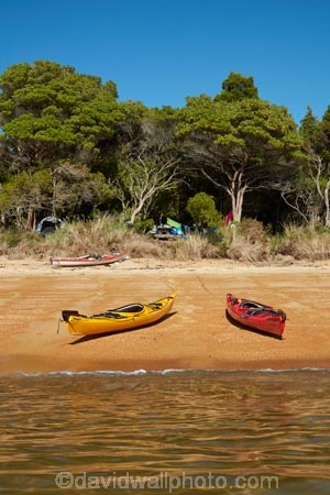 Abel-Tasman;Abel-Tasman-N.P.;Abel-Tasman-National-Park;Abel-Tasman-NP;adventure;adventure-tourism;beach;beaches;boat;boats;camp-ground;camp-grounds;camp-site;camp-sites;campground;campgrounds;camping-ground;camping-grounds;camping-site;camping-sites;campsite;campsites;canoe;canoeing;canoes;coast;coastal;coastline;coastlines;coasts;hot;kayak;kayaking;kayaks;N.Z.;national-park;national-parks;Nelson-Region;New-Zealand;NZ;ocean;oceans;red-kayak;red-kayaks;S.I.;sea;sea-kayak;sea-kayaking;sea-kayaks;seas;shore;shoreline;shorelines;shores;South-Is;South-Island;Sth-Is;summer;Tasman-Bay;Tasman-District;Te-Pukatea;Te-Pukatea-Bay;Te-Pukatea-Bay-campground;Te-Pukatea-Bay-campsite;tourism;vacation;vacations;water;yellow-kayak;yellow-kayaks