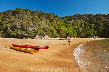 Abel-Tasman;Abel-Tasman-N.P.;Abel-Tasman-National-Park;Abel-Tasman-NP;adventure;adventure-tourism;beach;beaches;boat;boats;camp-ground;camp-grounds;camp-site;camp-sites;campground;campgrounds;camping-ground;camping-grounds;camping-site;camping-sites;campsite;campsites;canoe;canoeing;canoes;coast;coastal;coastline;coastlines;coasts;hot;kayak;kayaking;kayaks;N.Z.;national-park;national-parks;Nelson-Region;New-Zealand;NZ;ocean;oceans;red-kayak;red-kayaks;S.I.;sea;sea-kayak;sea-kayaking;sea-kayaks;seas;shore;shoreline;shorelines;shores;South-Is;South-Island;Sth-Is;summer;Tasman-Bay;Tasman-District;Te-Pukatea;Te-Pukatea-Bay;Te-Pukatea-Bay-campground;Te-Pukatea-Bay-campsite;tourism;vacation;vacations;water;yellow-kayak;yellow-kayaks