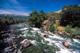 Buller-River;St-Arnaud;Nelson-Lakes-National-Park;rivers;south-island;new-zealand;clean-clear;green;rapid;rapids;national-parks;nelson-lakes;natural;stream;streams;brook;brooks;creek;creeks;bubbling;moss;lush;verdant