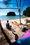 sea;water;inlet;lagoon;inlets;lagoons;estuary;estuaries;kayak;kayaks;kayaking;island;islands;bush;camp;campsite;camping;forest;forestry;forests;coast;coastal;coastline;shore;shoreline;shore-line;coast-line;tent;tents;person;people;tranquil;tranquility;peaceful;peace;peacefulness;beach;beaches;sand;mosquito-bay;abel-tasman-national-park;abel-tasman;national-park;national-parks