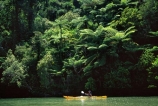 abel-tasman;Abel-Tasman-National-Park;aqua;Bark-Bay-Lagoon;blue;bush;clear;coast;coast-line;coastal;coastline;color;colors;colour;colours;estuaries;estuary;fern;ferns;green;inlet;inlets;kayak;kayaker;kayakers;kayaking;kayaks;lagoon;lagoons;national-park;national-parks;native;paddle;paddler;paddlers;paddles;paddling;peace;peaceful;peacefulness;pure;sea;see_through;shore;shore-line;shoreline;tranquil;tranquility;water;yellow
