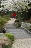 bloom;blooming;blooms;blossom;blossoming;blossoms;botanic-garden;botanic-gardens;botanical-garden;botanical-gardens;fresh;garden;gardens;grow;growth;Miyazu-Garden;Miyazu-Japanese-Garden;Myazu;N.Z.;Nelson;Nelson-City;Nelson-Region;New-Zealand;NZ;renew;S.I.;season;seasonal;seasons;SI;South-Is.;South-Island;spring;springtime