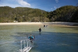 Abel-Tasman-Coast-Track;Abel-Tasman-Coastal-Track;Abel-Tasman-N.P.;Abel-Tasman-National-Park;Abel-Tasman-NP;beach;beaches;coast;coastal;coastline;inlet;inlets;N.Z.;national-park;national-parks;Nelson-Region;New-Zealand;NZ;ocean;oceans;S.I.;sand;sandy;sea;seas;shore;shoreline;SI;South-Is.;South-Island;tidal;tide;Torrent-Bay;tour-boat;tour-boats;tourism;tourist;tourist-boat;tourist-boats;wade;wading;water;water-taxi;water-taxis