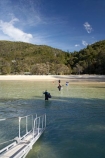 Abel-Tasman-Coast-Track;Abel-Tasman-Coastal-Track;Abel-Tasman-N.P.;Abel-Tasman-National-Park;Abel-Tasman-NP;beach;beaches;coast;coastal;coastline;inlet;inlets;N.Z.;national-park;national-parks;Nelson-Region;New-Zealand;NZ;ocean;oceans;S.I.;sand;sandy;sea;seas;shore;shoreline;SI;South-Is.;South-Island;tidal;tide;Torrent-Bay;tour-boat;tour-boats;tourism;tourist;tourist-boat;tourist-boats;wade;wading;water;water-taxi;water-taxis