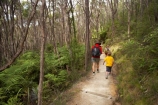 Abel-Tasman-Coast-Track;Abel-Tasman-Coastal-Track;Abel-Tasman-N.P.;Abel-Tasman-National-Park;Abel-Tasman-NP;beautiful;beauty;bush;child;children;endemic;families;family;female;fern;ferns;forest;forests;green;hike;hiker;hikers;hiking;kids;model-release;model-released;mother;mothers;N.Z.;national-park;national-parks;native;native-bush;natives;natural;nature;Nelson-Region;New-Zealand;NZ;people;person;S.I.;scene;scenic;SI;South-Is.;South-Island;timber;tramp;tramper;trampers;tramping;tree;trees;trek;treker;trekers;treking;trekker;trekkers;trekking;walk;walker;walkers;walking;woman;women;wood;woods