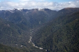 aerial;aerial-photo;aerial-photograph;aerial-photographs;aerial-photography;aerial-photos;aerial-view;aerial-views;aerials;beautiful;beauty;bush;endemic;Flanagan-Creek;Forest;forests;Gouland-Range;green;Kahurangi-N.P.;Kahurangi-National-Park;Kahurangi-NP;N.Z.;national-park;national-parks;native;native-bush;natives;natural;nature;Nelson-Region;New-Zealand;NZ;S.I.;Saddle-Creek;scene;scenic;SI;South-Is.;South-Island;tree;trees;woods
