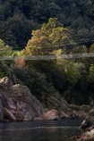 adventure;bridge;bridges;Buller-Gorge;Buller-Gorge-Swing-Bridge;Buller-River;exciting;female;foot-bridge;foot-bridges;footbridge;footbridges;high;N.Z.;Nelson-District;Nelson-Region;New-Zealand;NZ;pedestrian-bridge;pedestrian-bridges;people;person;river;rivers;S.I.;SI;South-Is;South-Island;Sth-Is.;suspension-bridge;suspension-bridges;swing-bridge;swing-bridges;Tasman-District;Tasman-Region;track;tracks;Upper-Buller-Gorge;wire-bridge;wire-bridges;woman