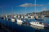 boat;boat-harbor;boat-harbors;boat-harbour;boat-harbours;boats;calm;calmness;coast;coastal;coasts;cruiser;cruisers;harbor;harbors;harbour;harbours;hull;hulls;launch;launches;marina;marinas;mast;masts;N.Z.;Nelson;Nelson-City;Nelson-District;Nelson-Marina;Nelson-Region;New-Zealand;NZ;peaceful;peacefulness;placid;port;ports;quiet;reflected;reflection;reflections;S.I.;sail;sail-boat;sail-boats;sailboat;sailboats;sailing;serene;SI;smooth;South-Is;South-Is.;South-Island;Sth-Is;still;stillness;tranquil;tranquility;water;yacht;yachts