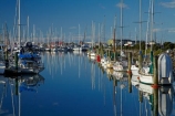 boat;boat-harbor;boat-harbors;boat-harbour;boat-harbours;boats;calm;calmness;coast;coastal;coasts;cruiser;cruisers;harbor;harbors;harbour;harbours;hull;hulls;launch;launches;marina;marinas;mast;masts;N.Z.;Nelson;Nelson-City;Nelson-District;Nelson-Marina;Nelson-Region;New-Zealand;NZ;peaceful;peacefulness;placid;port;ports;quiet;reflected;reflection;reflections;S.I.;sail;sail-boat;sail-boats;sailboat;sailboats;sailing;serene;SI;smooth;South-Is;South-Is.;South-Island;Sth-Is;still;stillness;tranquil;tranquility;water;yacht;yachts
