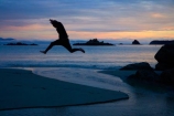 Abel-Tasman;Abel-Tasman-N.P.;Abel-Tasman-National-Park;Abel-Tasman-NP;beach;beaches;boy;boys;coast;coastal;coastline;coastlines;coasts;creek;creeks;dusk;evening;hot;jump;jumping;Mosquito-Bay;N.Z.;national-park;national-parks;Nelson-Region;New-Zealand;night;night_time;nightfall;NZ;ocean;oceans;S.I.;sea;seas;shore;shoreline;shorelines;shores;silhouette;silhouettes;South-Is;South-Island;Sth-Is;stream;streams;summer;sunset;sunsets;Tasman-Bay;Tasman-District;teenager;teenagers;twilight;water