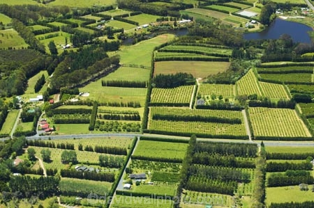 aerial;aerials;agricultural;agriculture;bay-of-islands;country;countryside;crop;crops;farm;farming;farmland;farms;field;fields;fruit;hedgerow;hedgerows;horticultural;horticulture;kerikeri;kiwi-fruit;kiwifruit;meadow;meadows;new-zealand;north-is.;north-island;north-islands;northland;orchard;orchards;paddock;paddocks;pasture;pastures;rural;sub-tropical;sub_tropical;windbreak;windbreaks