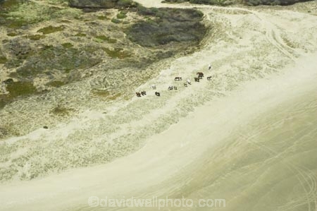 aerial;aerials;beach;beaches;beautiful;coast;coastal;coastline;equestrian;far-north;horse;horses;new-zealand;Ninety-Mile-Beach;north-is.;north-island;northland;ocean;sand;scenic;wild-horses