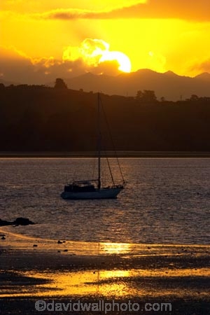boat;boats;color;colour;dusk;harbor;harbors;harbour;harbours;launch;launches;mast;masts;new-zealand;north-is.;north-island;northland;orange;reflection;reflections;sunset;sunsets;water;whangarei;yacht;yachts