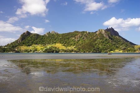aqua;coast;coastal;coastline;color;colour;estuary;green;harbor;harbors;harbour;harbours;hill;hills;mount;mounts;Mt-Manaia;new-zealand;north-is.;north-island;Northland;outcrop;outcrops;rock;rocks;sea;tidal;tide;tides;water;Whangarei-Harbour;Whangarei-Heads