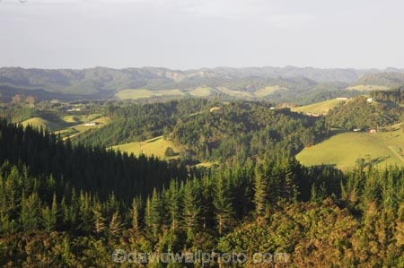 agricultural;agriculture;bush;crop;crops;farm;farming;farmland;farms;field;fields;forest;forestry;horticulture;meadow;meadows;new-zealand;north-is.;north-island;Northland;paddock;paddocks;pasture;pastures;rural;Whangarei