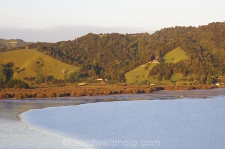 agricultural;agriculture;bush;farm;farming;farmland;farms;field;fields;forest;forestry;harbor;harbors;harbour;harbours;horticulture;meadow;meadows;new-zealand;north-is.;north-island;Northland;paddock;paddocks;pasture;pastures;rural;Whangarei