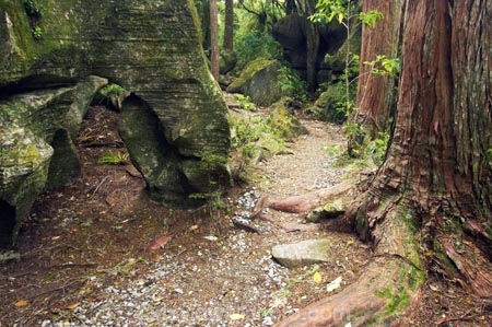 formations;Kawakawa;kawiti;Kawiti-Glow-Worm-Caves;limestone;nature;new-zealand;north-is.;north-island;Northland;rock;rocks