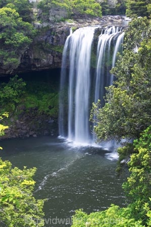 bay-of-islands;cascade;cascades;creek;creeks;falls;Kerikeri;natural;nature;new-zealand;north-is.;north-island;Northland;Rainbow-Falls;river;rivers;scene;scenic;stream;streams;water;water-fall;water-falls;waterfall;waterfalls;wet