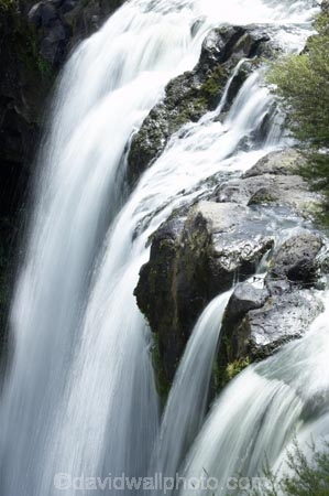 bay-of-islands;cascade;cascades;creek;creeks;falls;Kerikeri;natural;nature;new-zealand;north-is.;north-island;Northland;Rainbow-Falls;river;rivers;scene;scenic;stream;streams;water;water-fall;water-falls;waterfall;waterfalls;wet