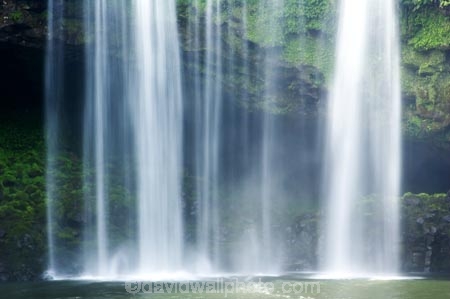 bay-of-islands;cascade;cascades;creek;creeks;falls;Kerikeri;natural;nature;new-zealand;north-is.;north-island;Northland;Rainbow-Falls;river;rivers;scene;scenic;stream;streams;water;water-fall;water-falls;waterfall;waterfalls;wet