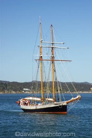 Bay-of-Islands;boat;boats;craft;Historic;historical;mast;masts;new-zealand;north-is.;north-island;Northland;R-Tucker-Thompson;rigging;Russell;Ship;ships;tall-ship;tall-ships;vessel;vessels