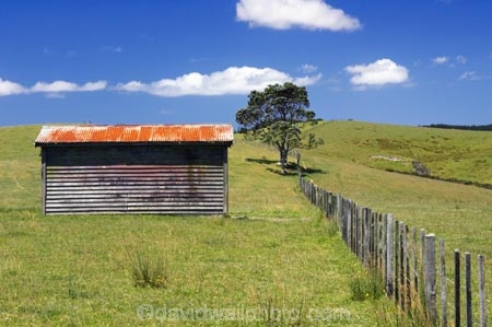 agricultural;agriculture;building;buildings;country;countryside;crop;crops;farm;farming;farmland;farms;fence;fenceline;fencelines;fences;field;fields;horticulture;meadow;meadows;new-zealand;north-is.;north-island;old-farm-shed;paddock;paddocks;pasture;pastures;rural;shed;sheds;tree;trees