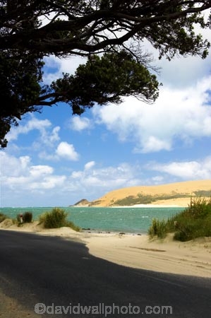 dune;dunes;harbor;harbors;harbour;harbours;hokianga;Hokianga-Harbour;new-zealand;north-is.;north-island;Northland;opononi;sand-dune;Sand-Dunes;sand_dune;sand_dunes;te-pouahi