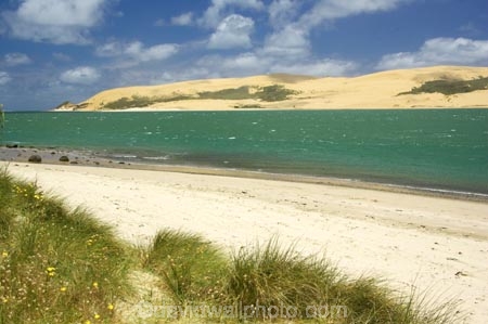 dune;dunes;harbor;harbors;harbour;harbours;hokianga;Hokianga-Harbour;new-zealand;north-is.;north-island;Northland;opononi;sand-dune;Sand-Dunes;sand_dune;sand_dunes;te-pouahi