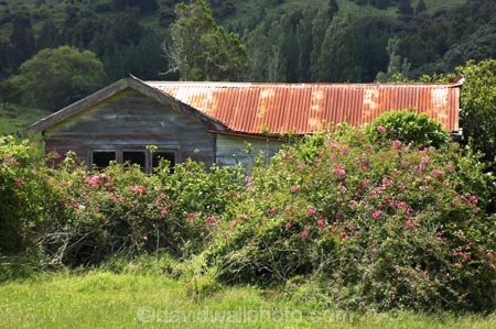 character;derelict;hokianga;new-zealand;north-is.;north-island;northland;old;Omapere;run-down;rusty;waimamaku