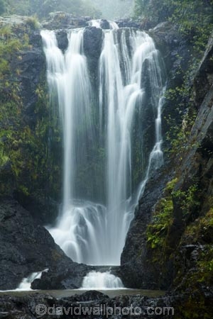 bikini;bikinis;cascade;cascades;creek;creeks;falls;girl;girls;N.I.;N.Z.;natural;nature;New-Zealand;NI;North-Is;North-Is.;North-Island;Northland;NZ;people;person;Piroa-Falls;scene;scenic;stream;streams;swim;swimmer;swimmers;swimming;Waipu-Gorge;Waipu-Gorge-Scenic-Reserve;water;water-fall;water-falls;waterfall;waterfalls;wet