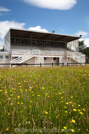 building;buildings;covered-stand;field;fields;grandstand;grandstands;Kaihu;Kaipara-District;N.I.;N.Z.;New-Zealand;NI;North-Is;North-Is.;North-Island;Northland;NZ;old;paddock;rugby-field;rugby-fields;sports-field;sports-fields;sports-ground;sports-grounds;stand;stands;wild-flower;wild-flowers;wildflower;wildflowers