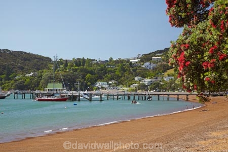 Bay-of-Is;Bay-of-Islands;beach;beaches;coast;coastal;coastline;dock;docks;flower;flowers;jetties;jetty;Kororareka;Kororareka-Bay;metrosideros-excelsa;N.I.;N.Z.;native;native-plant;native-plants;New-Zealand;NI;North-Is;North-Is.;North-Island;Northland;NZ;ocean;pier;piers;plant;plants;pohutakawa;pohutakawas;pohutukawa;pohutukawa-flower;pohutukawa-flowers;pohutukawa-tree;pohutukawa-trees;pohutukawas;quay;quays;Russell;sand;sandy;shore;shoreline;summer;The-Strand;tree;trees;waterfront;waterside;wharf;wharfes;wharves