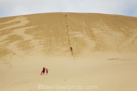 adventure;adventure-tourism;boogie-boarding;boy;boys;brother;brothers;child;children;dune;dune-board;dune-boarding;dune-surfing;dunes;families;family;Far-North;fun;giant-sand-dune;giant-sand-dunes;girl;girls;kid;kids;little-boy;little-girl;mother;mothers;N.I.;N.Z.;New-Zealand;NI;North-Is;North-Is.;North-Island;Northland;NZ;people;person;sand;sand-boarding;sand-dune;sand-dunes;sand-hill;sand-hills;sand-surfing;sand_dune;sand_dunes;sand_hill;sand_hills;sandboarding;sanddune;sanddunes;sandhill;sandhills;sandsurfing;sandy;sibbling;sibblings;sister;sisters;small-boys;small-girls;Te-Paki-Creek;Te-Paki-Dunes;Te-Paki-Recreational-Reserve;Te-Paki-Reserve;Te-Paki-Sand-Dunes;Te-Paki-Sand-Hills;Te-Paki-Stream;tourism;tourist;tourists