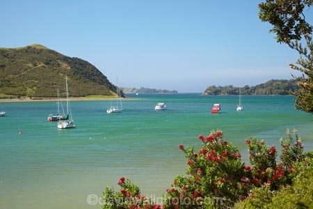Bay-of-Is;Bay-of-Islands;boat;boats;coast;coastal;coastline;coastlines;coasts;flower;flowers;foreshore;metrosideros-excelsa;moor;moored;mooring;N.I.;N.Z.;native;native-plant;native-plants;New-Zealand;NI;North-Is;North-Is.;North-Island;Northland;NZ;Parekura-Bay;plant;plants;pohutakawa;pohutakawas;pohutukawa;pohutukawa-flower;pohutukawa-flowers;pohutukawa-tree;pohutukawa-trees;pohutukawas;shore;shoreline;shorelines;shores;summer;tree;trees;Waipiro-Bay;water;yacht;yachts
