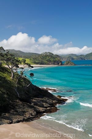 beach;beache;beaches;coast;coastal;coastline;coastlines;coasts;Elliot-Bay;foreshore;N.I.;N.Z.;New-Zealand;NI;North-Is;North-Is.;North-Island;Northland;NZ;ocean;oceans;sand;sandy;sea;seas;shore;shoreline;shorelines;shores;surf;water;wave;waves;Whangamumu-Peninsula