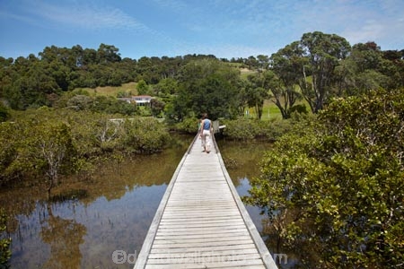 Auckland-Region;boardwalk;boardwalks;boy;bridge;bridges;child;children;estuaries;estuary;families;family;foot-bridge;foot-bridges;footbridge;footbridges;girl;hiking-track;hiking-tracks;inlet;inlets;lagoon;lagoons;mangrove;mangrove-boardwalk;mangrove-boardwalks;mangrove-swamp;mangrove-swamps;mangroves;mother;N.I.;N.Z.;New-Zealand;NI;North-Is;North-Is.;North-Island;Northland;NZ;pedestrian-bridge;pedestrian-bridges;people;person;Rodney-District;Sandspit;tidal;tide;tides;tourism;tourist;tourists;track;tracks;walking-track;walking-tracks;Warkworth;water