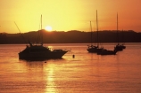 boat;boats;color;colour;dusk;launch;launches;mast;masts;orange;water;yacht