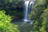 bay-of-islands;cascade;cascades;creek;creeks;falls;Kerikeri;natural;nature;new-zealand;north-is.;north-island;Northland;Rainbow-Falls;river;rivers;scene;scenic;stream;streams;water;water-fall;water-falls;waterfall;waterfalls;wet