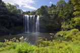 bay-of-islands;cascade;cascades;creek;creeks;falls;Kerikeri;natural;nature;new-zealand;north-is.;north-island;Northland;Rainbow-Falls;river;rivers;scene;scenic;stream;streams;water;water-fall;water-falls;waterfall;waterfalls;wet