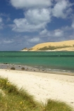 dune;dunes;harbor;harbors;harbour;harbours;hokianga;Hokianga-Harbour;new-zealand;north-is.;north-island;Northland;opononi;sand-dune;Sand-Dunes;sand_dune;sand_dunes;te-pouahi