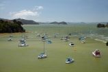 Bay-of-Is;Bay-of-Islands;boat;boats;coast;coastal;coastline;coastlines;coasts;foreshore;N.I.;N.Z.;New-Zealand;NI;North-Is;North-Is.;North-Island;Northland;NZ;Opua;shore;shoreline;shorelines;shores;Veronica-Channel;water;yacht;yachts