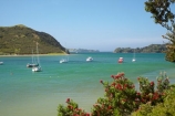 Bay-of-Is;Bay-of-Islands;boat;boats;coast;coastal;coastline;coastlines;coasts;flower;flowers;foreshore;metrosideros-excelsa;moor;moored;mooring;N.I.;N.Z.;native;native-plant;native-plants;New-Zealand;NI;North-Is;North-Is.;North-Island;Northland;NZ;Parekura-Bay;plant;plants;pohutakawa;pohutakawas;pohutukawa;pohutukawa-flower;pohutukawa-flowers;pohutukawa-tree;pohutukawa-trees;pohutukawas;shore;shoreline;shorelines;shores;summer;tree;trees;Waipiro-Bay;water;yacht;yachts