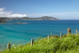 coast;coastal;coastline;coastlines;coasts;Elliot-Bay;fence;fenceline;fencelines;fences;foreshore;grass;N.I.;N.Z.;New-Zealand;NI;North-Is;North-Is.;North-Island;Northland;NZ;shore;shoreline;shorelines;shores;surf;water;wave;waves;Whangamumu-Peninsula;Whangamumu-Point