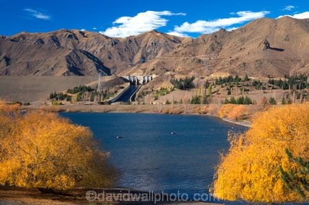 autumn;autumnal;dams;fall;gold;golden;hills;hydro-lake;hydro_electric;hydro_electric-power;lakes;tree;trees;water;willow;willows
