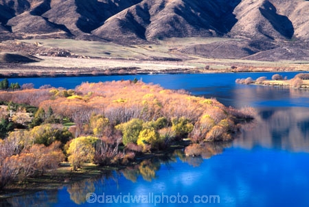autumn;autumnal;fall;gold;golden;hydro-lake;hydro_electric;lakes;ranges;scenary;scenic;tree;trees;water;willow;willows